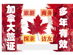 全球通签证申请中心