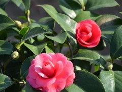 江西众源礼品有限公司