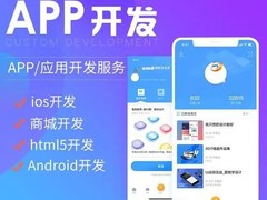 北京系统开发公司