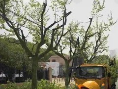 福州园林设计公司