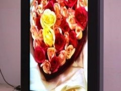 姑苏晚报公告登报电话