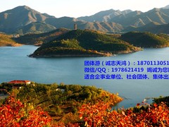 誠志天鴻