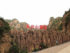 誠志天鴻