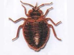 上格生物科技有限公司