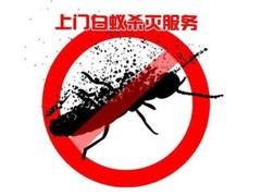 绵阳灭鼠公司