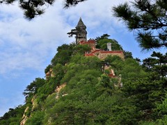誠(chéng)志天鴻