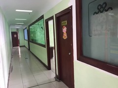 河南大果转租网2