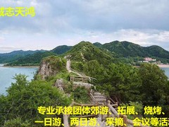 誠志天鴻