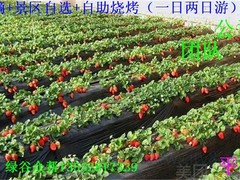 平谷農家樂