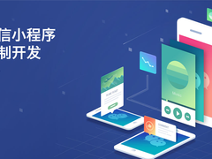 临沂系统开发公司