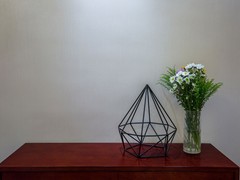 天津硅藻泥生态科技有限公司