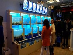 无锡冰之神水族制冷经营