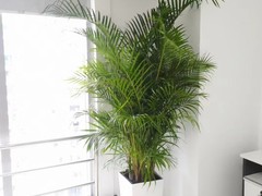 海南尚谷植颜园林景观有限公司