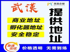 美嘉企业管理（武汉）有限公司