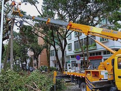 湖北捷腾达机械设备租赁有限公司