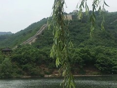 诚志天鸿
