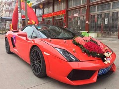 乌鲁木齐婚礼花车