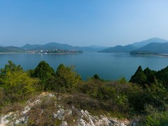 诚志天鸿