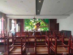 山东安彩光电