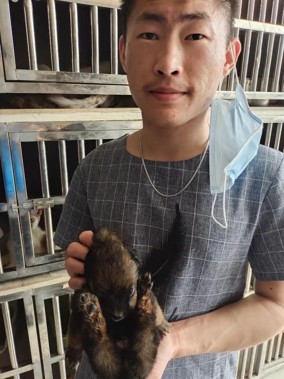 在上海宠物救助领养中心基地站领养了_上海市流浪猫流浪狗救助领养站