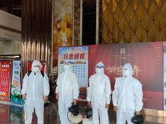 惠州白蚁防治