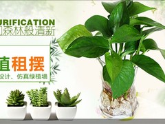邯郸园林养护