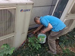 宜宾四害消杀公司