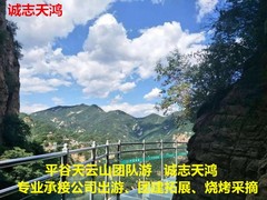 誠志天鴻