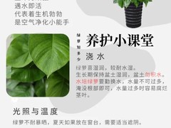 上海园艺