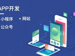 桂林系统开发公司