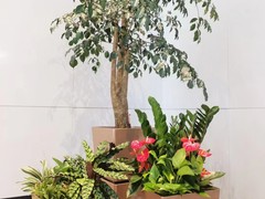 威海园林公司