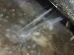 武汉聆听漏水检测有限公司