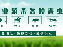 嘉兴杀虫灭鼠公司