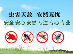 常州专业灭白蚁公司