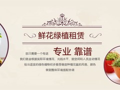 卢湾园林设计