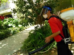 威海杀虫灭鼠公司