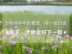金华东阳宠物火化服务中心