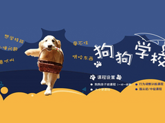 马鞍山孙亮星狗连锁品牌训犬基地