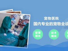 贵阳宠物狗医院
