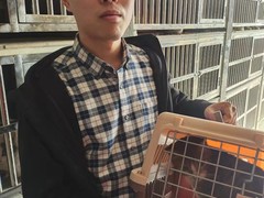上海杨浦区上海杨浦区宠物救助领养收养收容站