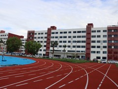 东莞橡果教育