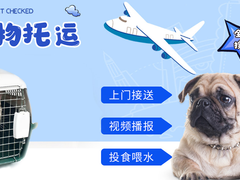 喜乐宠物托运