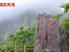 誠志天鴻