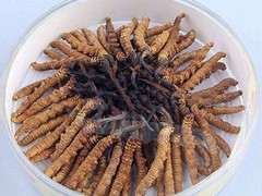 粤鸿茅台酒洋酒虫草礼品回收商