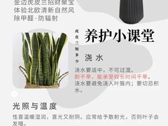 上海园艺