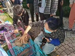上海市流浪猫流浪狗救助领养站