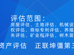 正坤资产评估咨询
