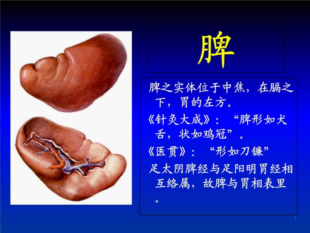 長洋中醫學府