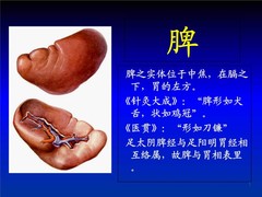 长洋中医学府